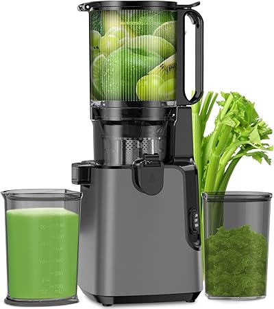 Juicer Machines with 5.8" Extra Large Feed Chute, Cold Press Juicer For Whole Vegetables and Fruits, 400W Professional Slow Masticating juicer Easy to Clean for Batch Juicing (Titanium Gray)