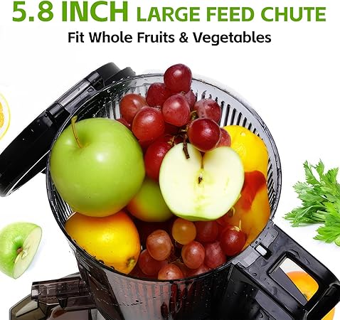 Cold Press Juicer, 5.8" Wide Feed Chute Juice Extractor Machine with 400W, High Juice Yield, Slow Masticating Juicer for Whole Vegetables & Fruits, Premium Silver