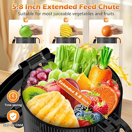 Juicer Machines with 5.8" Extra Large Feed Chute, Cold Press Juicer For Whole Vegetables and Fruits, 400W Professional Slow Masticating juicer Easy to Clean for Batch Juicing (Titanium Gray)